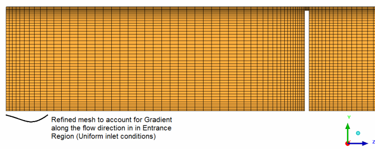 Mesh in Entrance Region