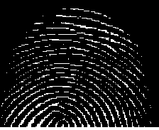 fingerprint after first erosion